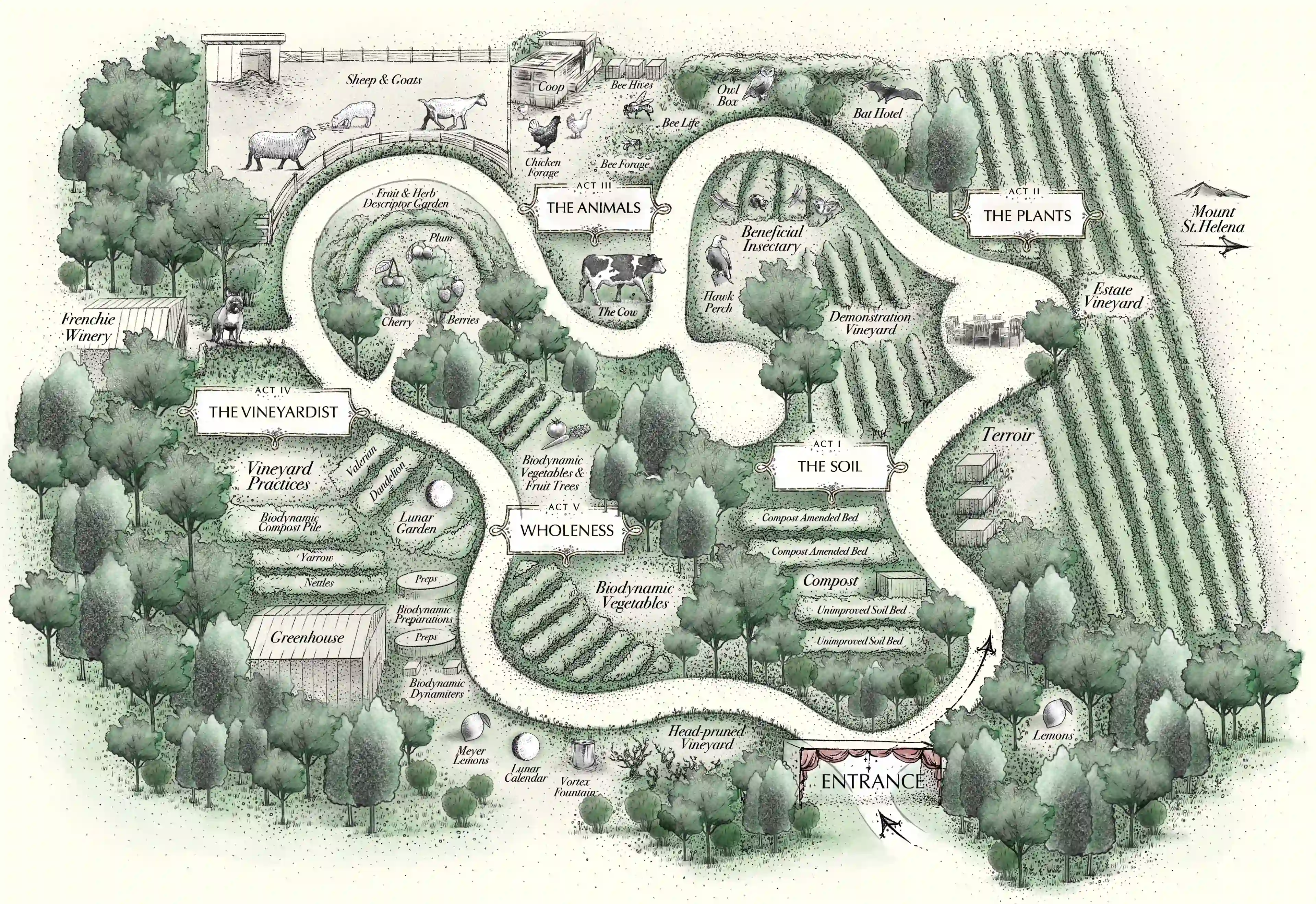 Vineyard Map